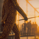 agent 47 in dubai in hitman 3 greed season
